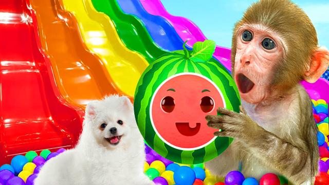 Bathing Monkey🐒🚿Drawing | Painting and Coloring for Kids & Toddlers | Drawing Basics Videos🫧🌈