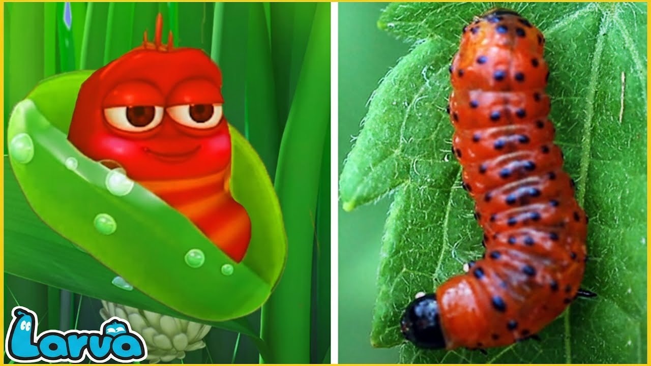 How to Draw a Bug-Shaped Toy Car | Car Easy Drawing and Painting for Kids & Toddlers - Great Drawing Adventure